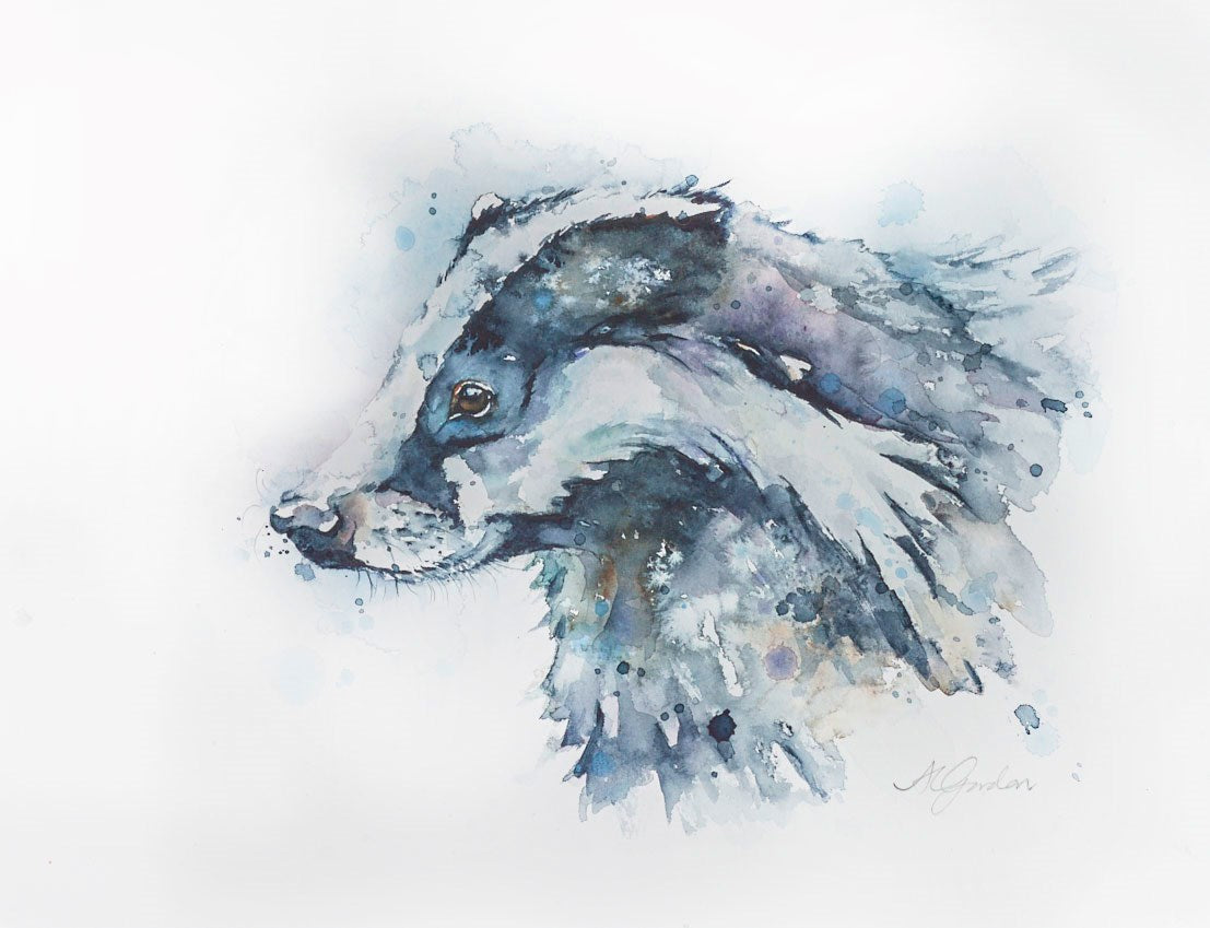 Young Badger Profile