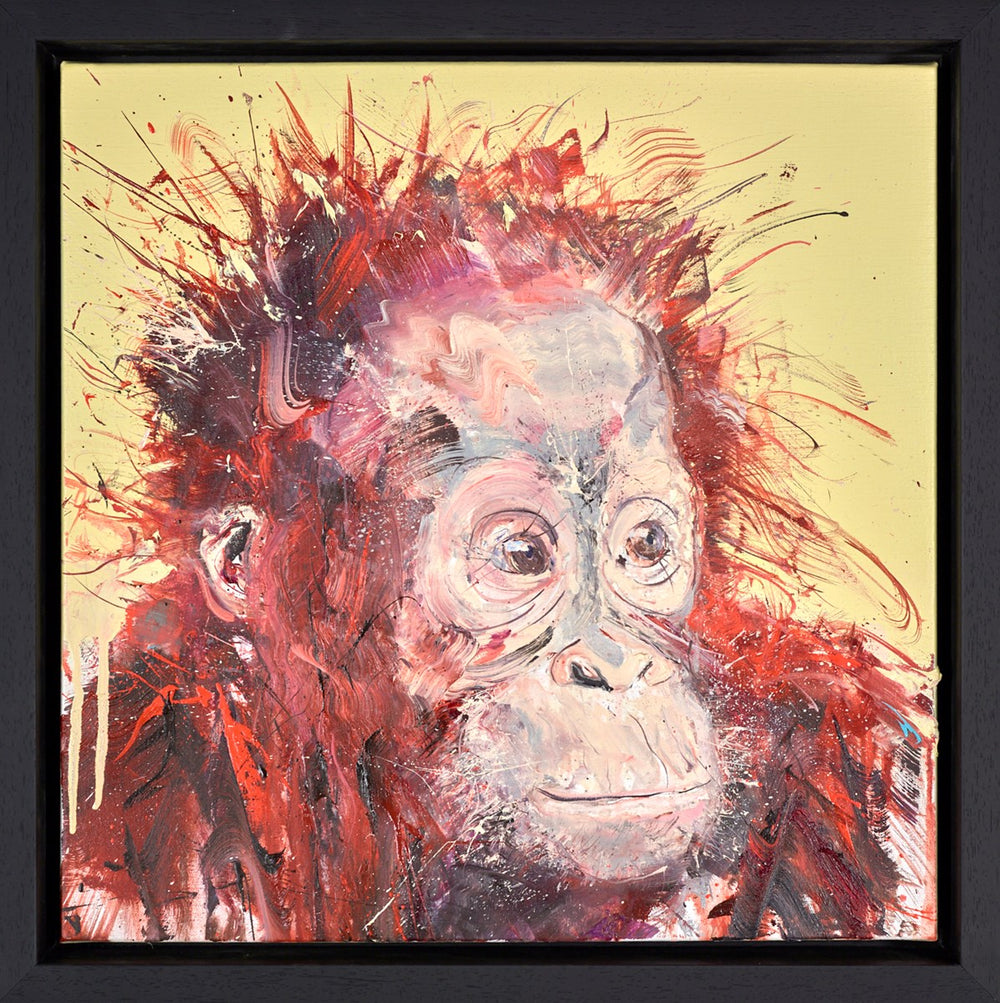 Young Orangutan