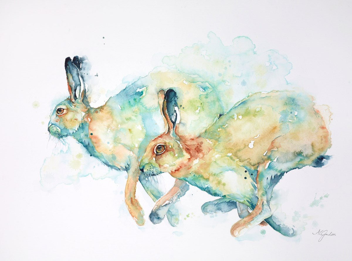 Summer Hares Racing