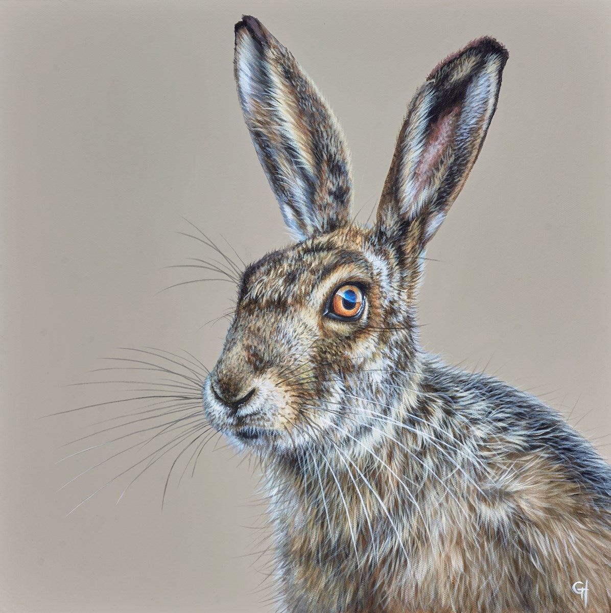 Hare