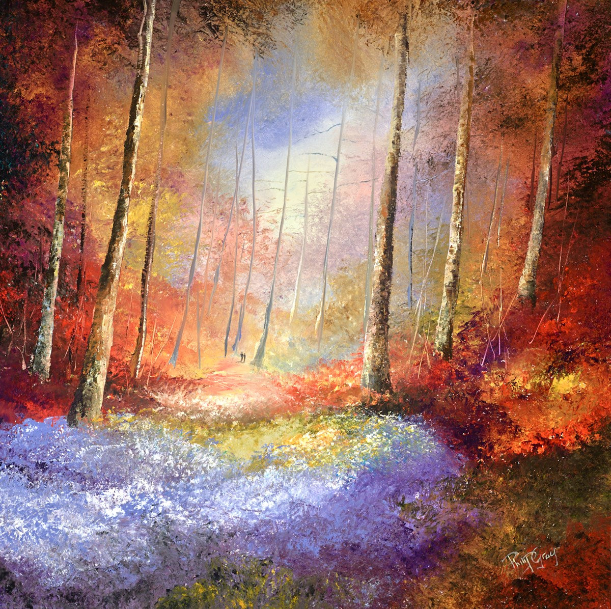Forest Colours