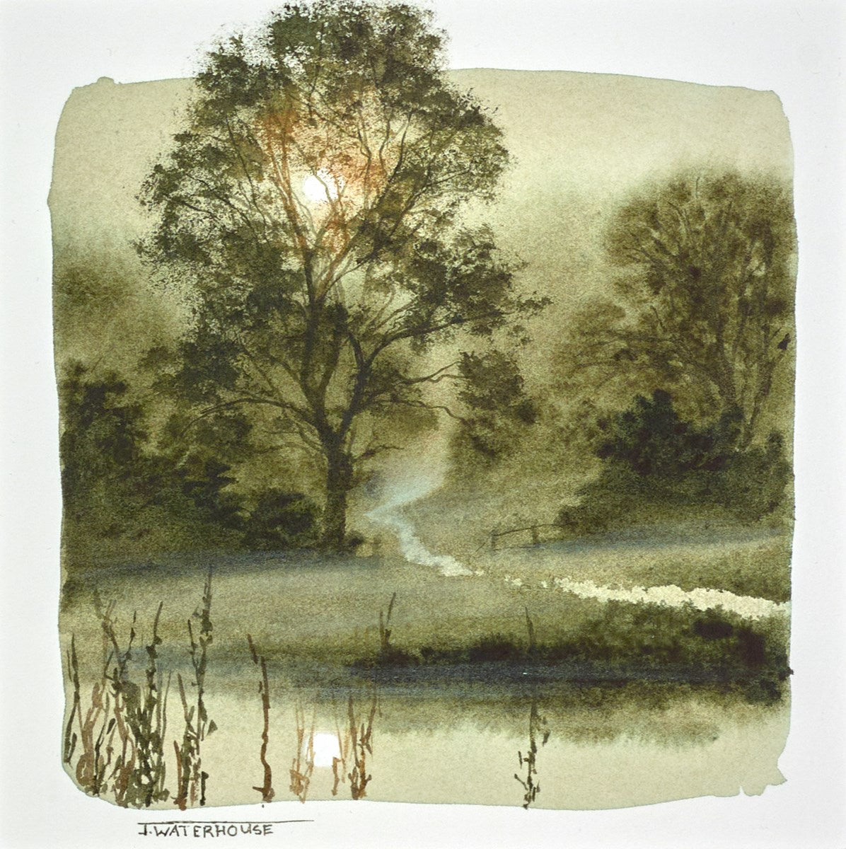 Enchanted Pathway (study)