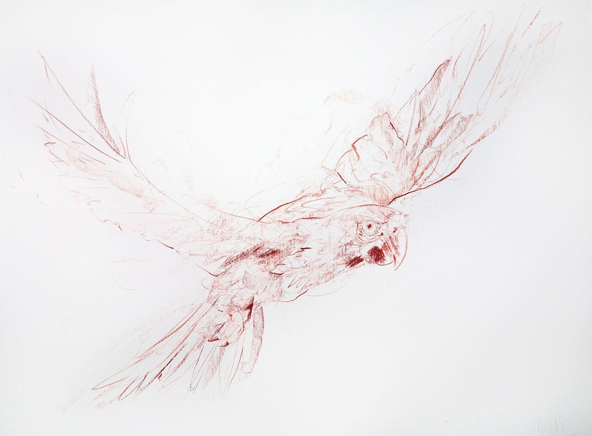 Flight Study II