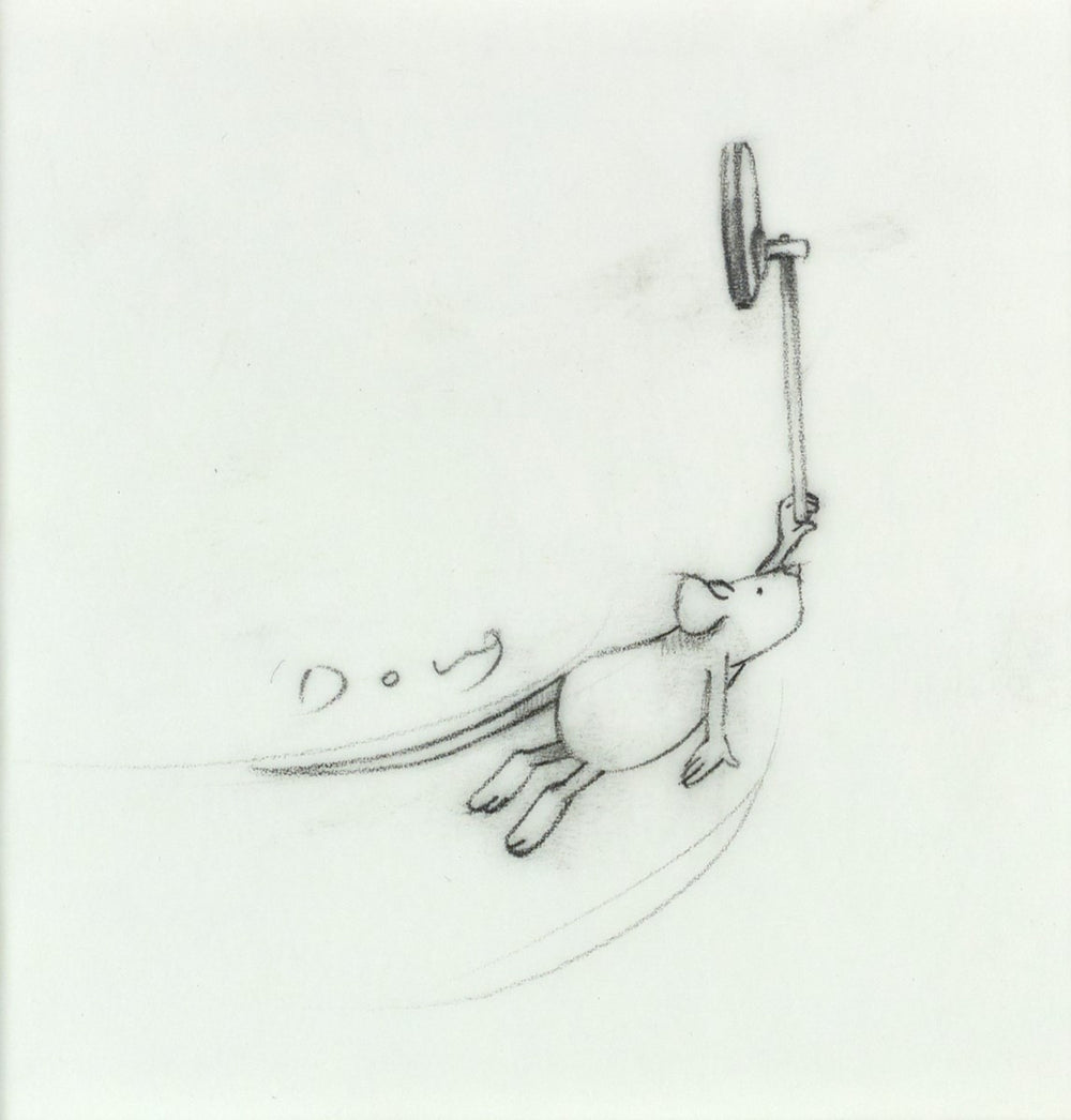 Hitch-Hikers (Study X)