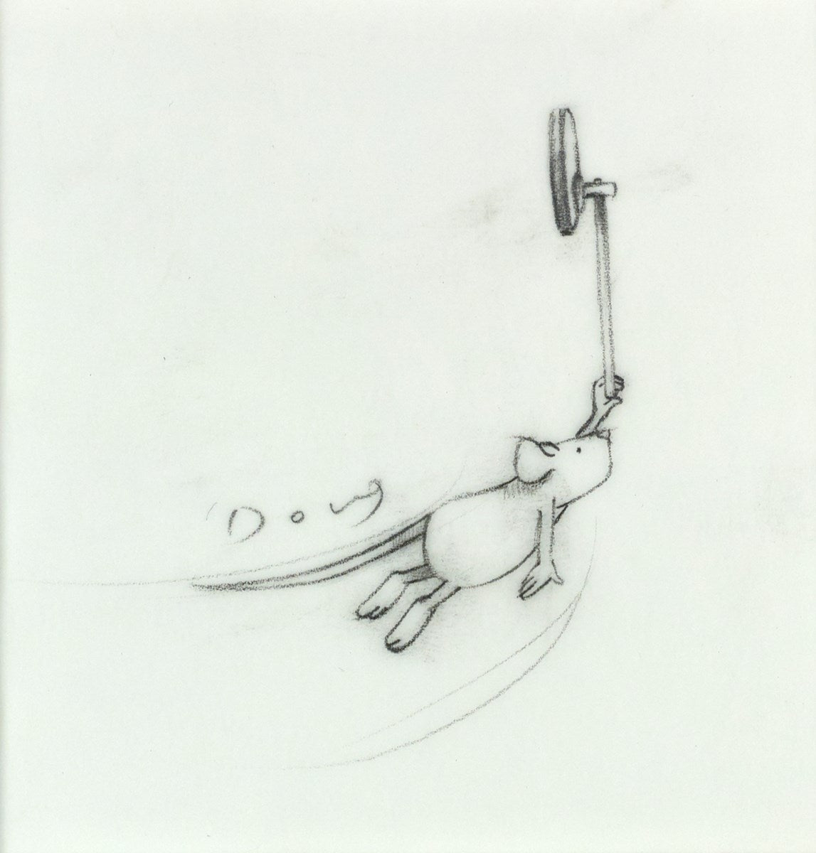 Hitch-Hikers (Study X)