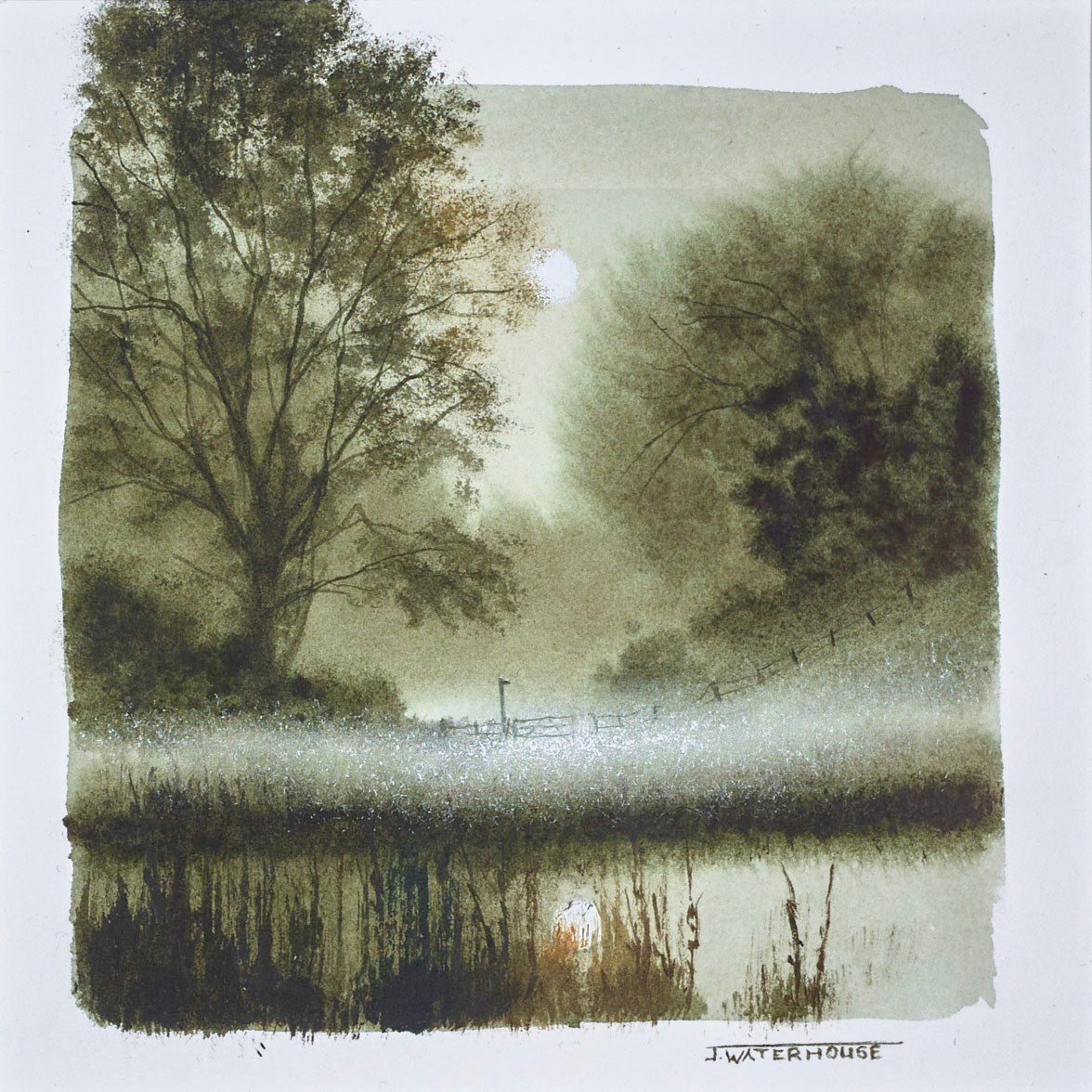 The Meadow (study)