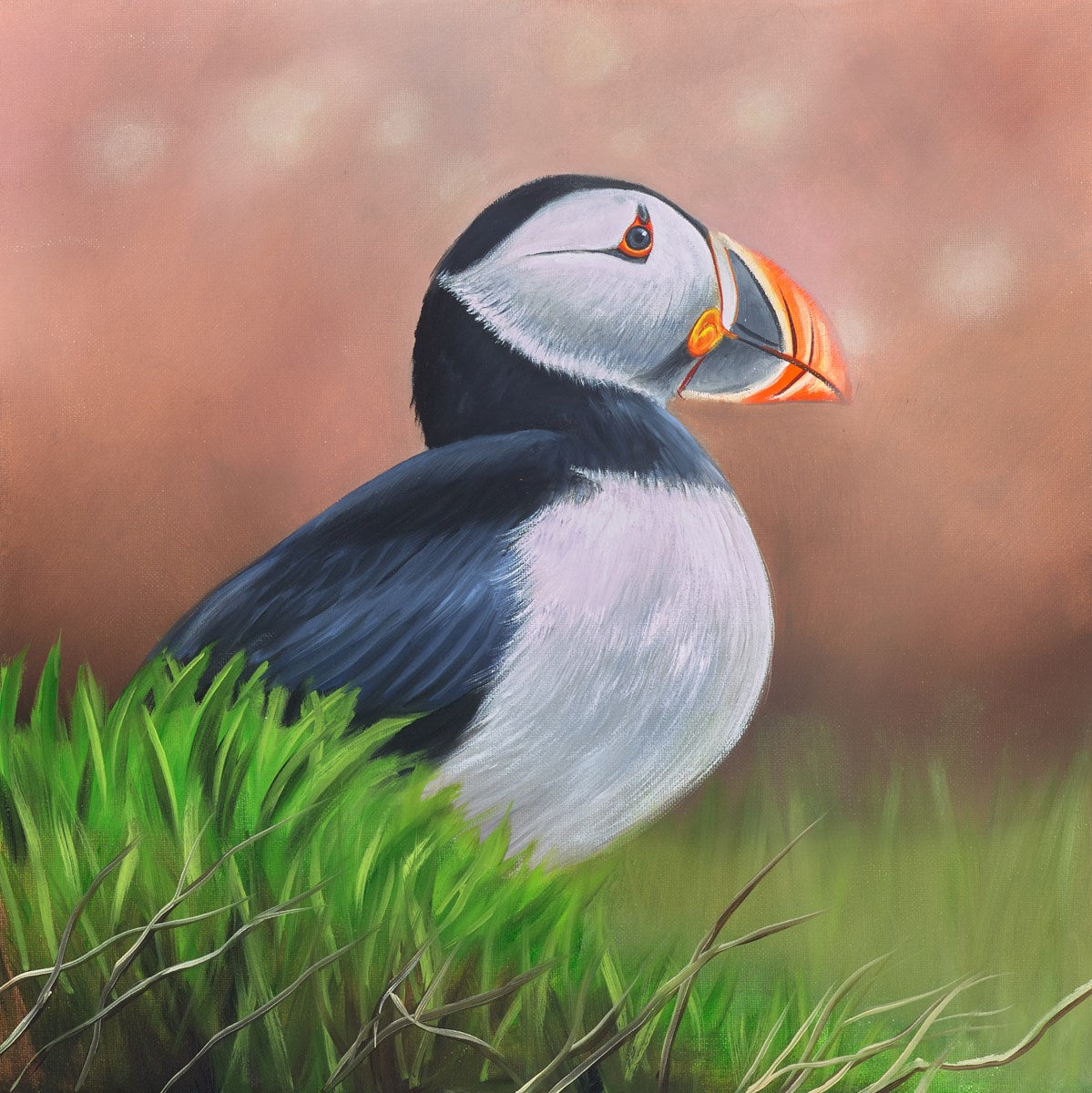 Puffin - Demo