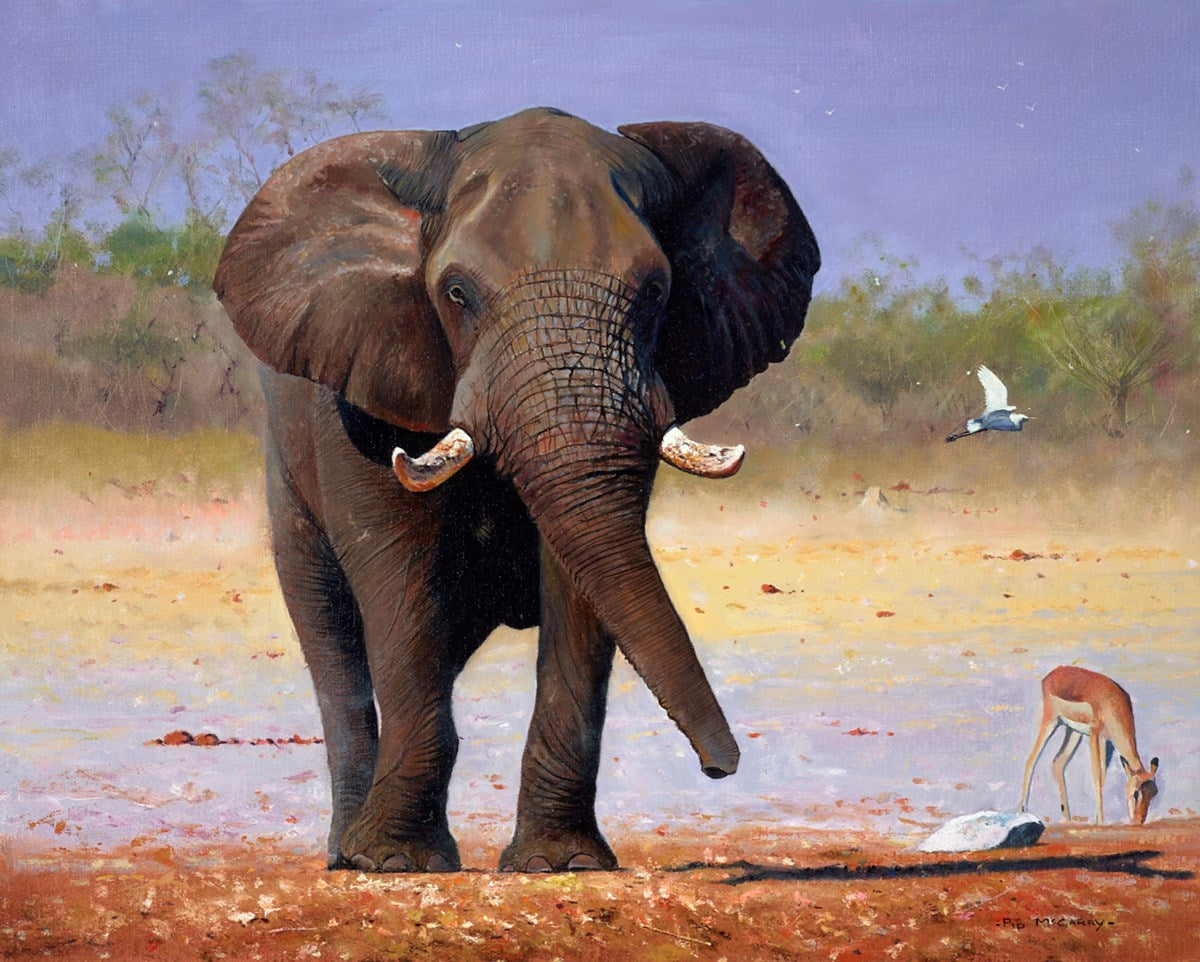 Pump Pan, Botswana