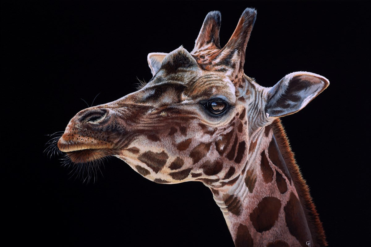 Giraffe III