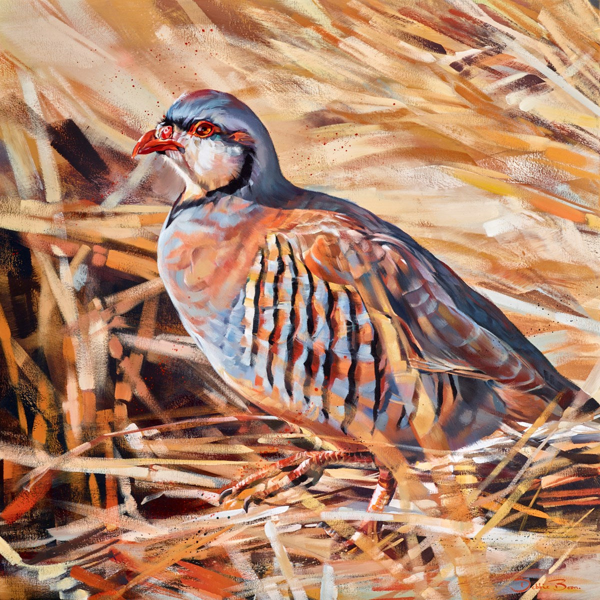 Wheat Field Partridge