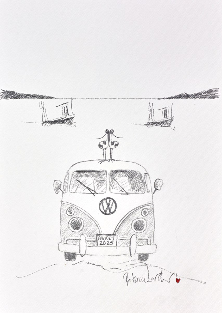 Road Trip III