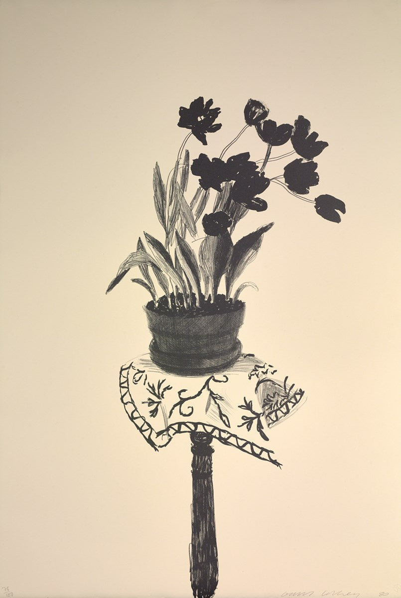 Black Tulips