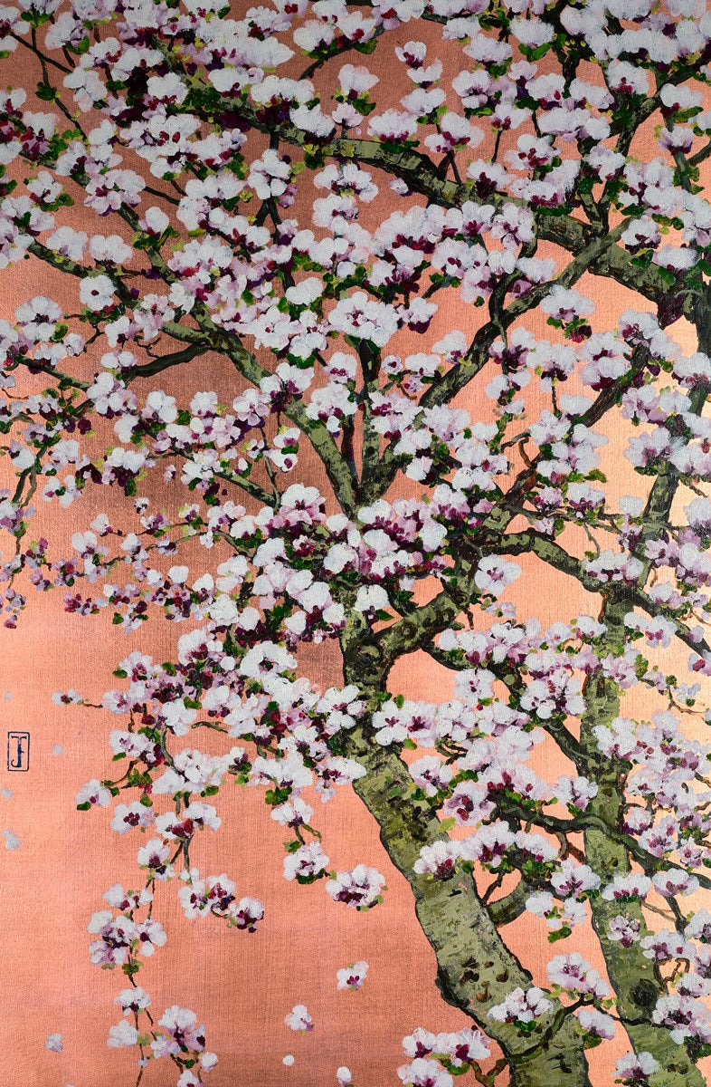 Flowering Oshima Cherry Blossom