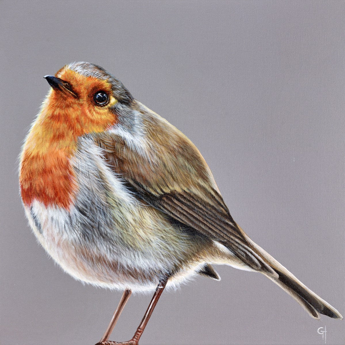 Robin