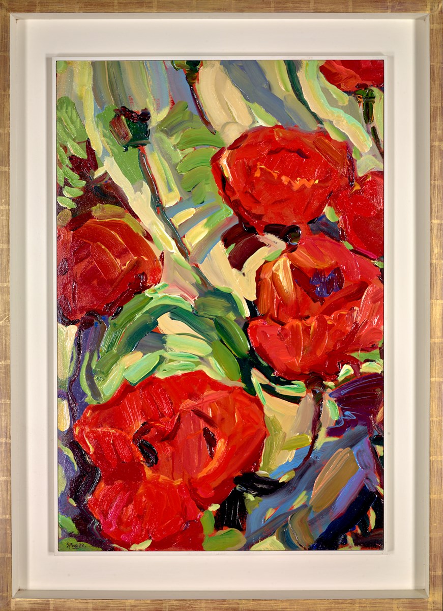 Sumptous Poppies