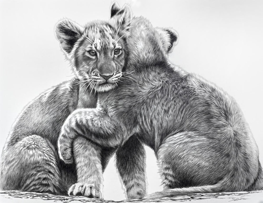 Lion Cubs