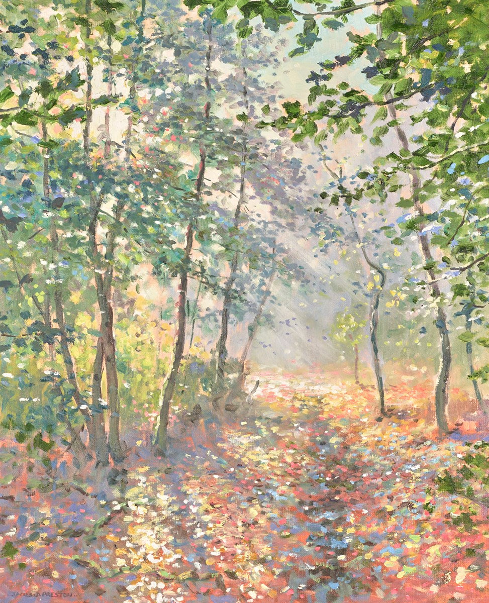 Morning Sunlight IV