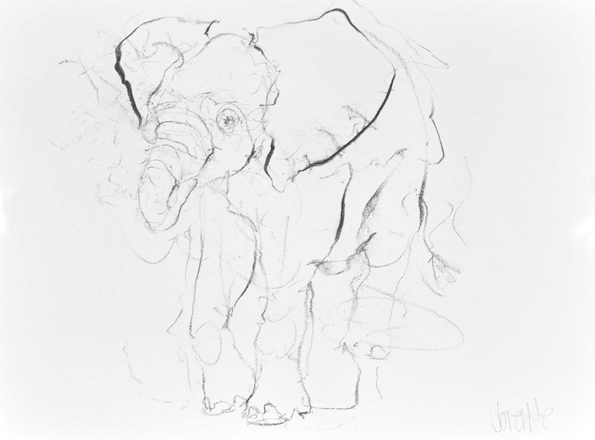 Elephant Study XXI