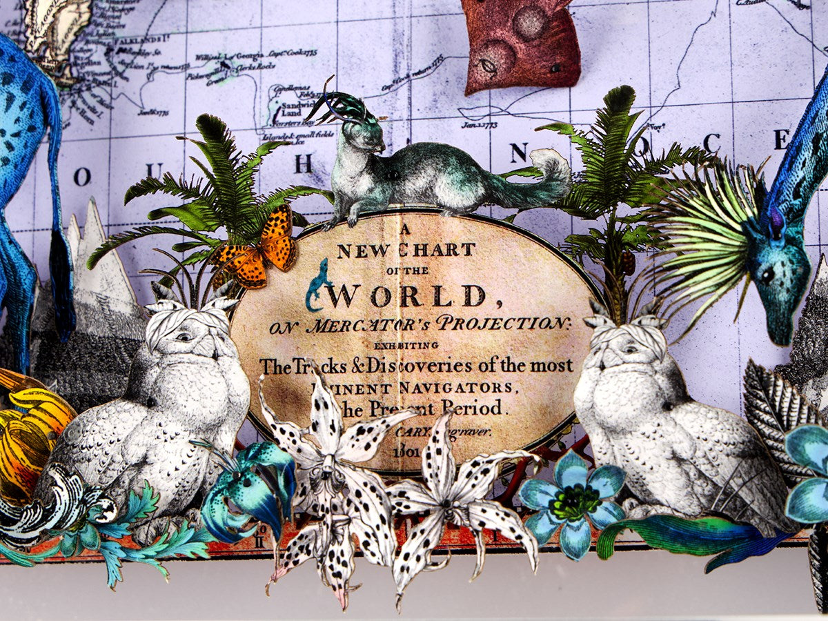 Navigators Floating Map - Giraffe Discoveries of the world (Detail2)