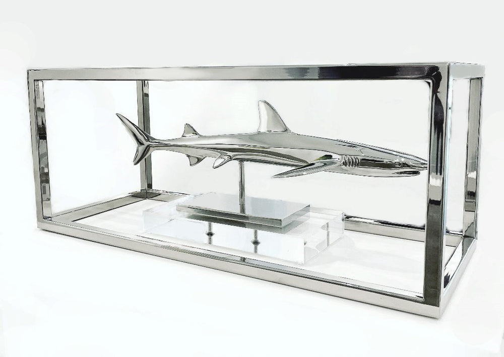 White Tip Shark