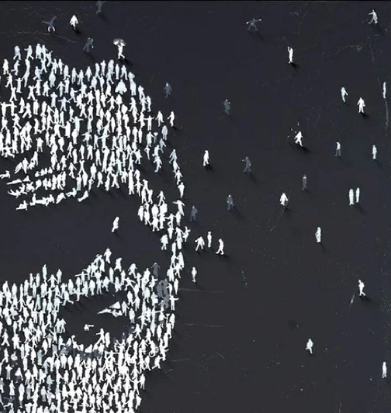 Svelte (Detail1)