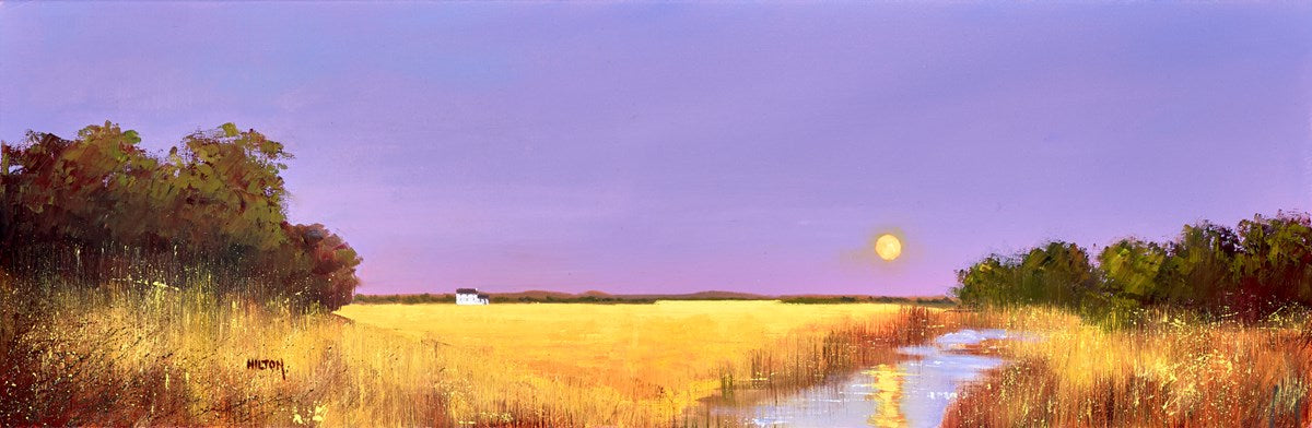 Evening Sun