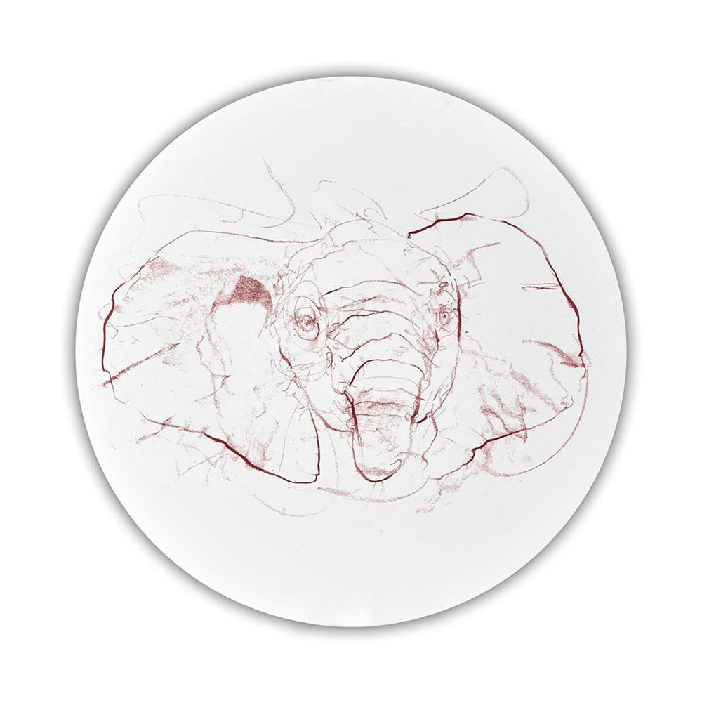 Elephant Study VI