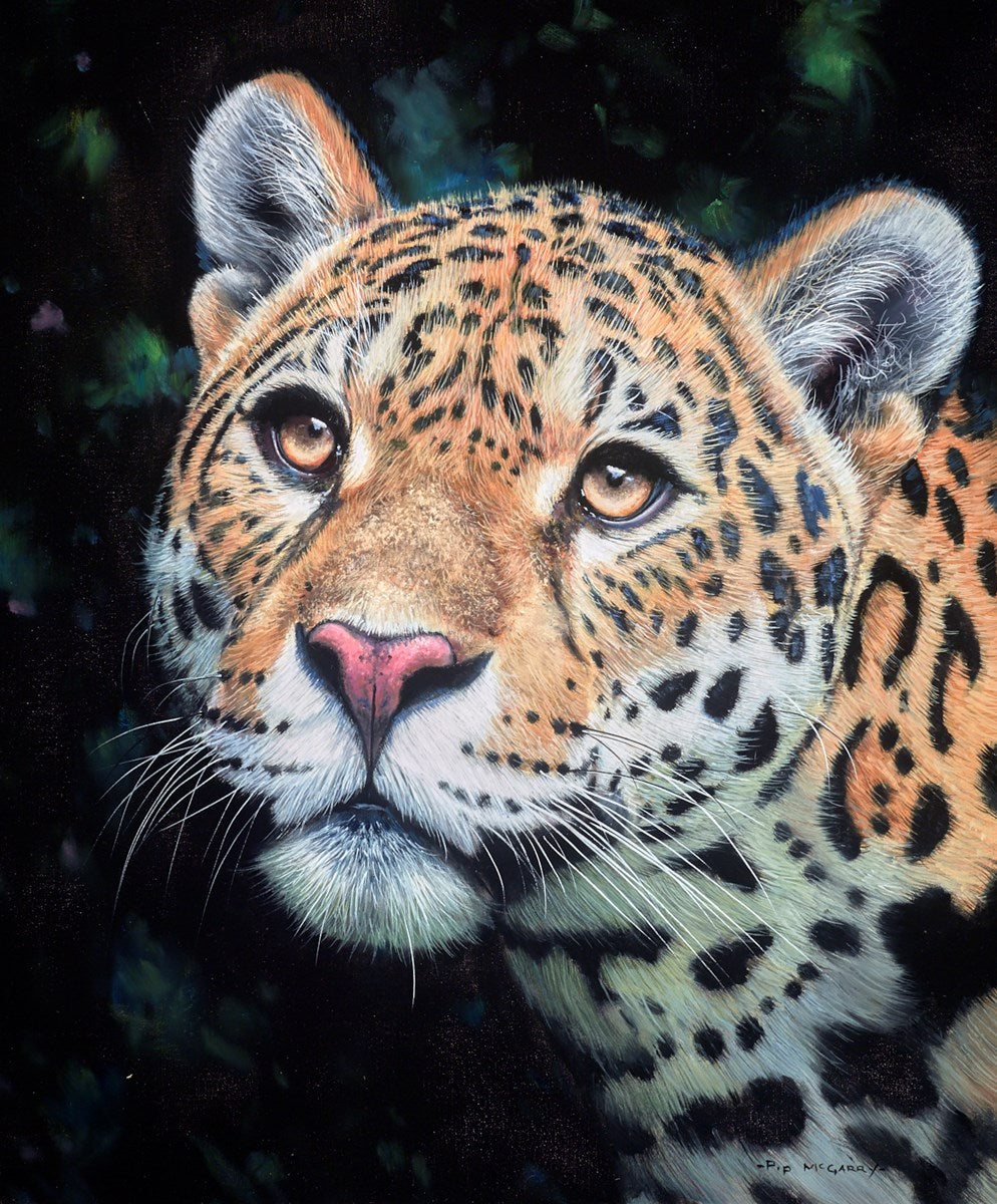 Jaguar portrait