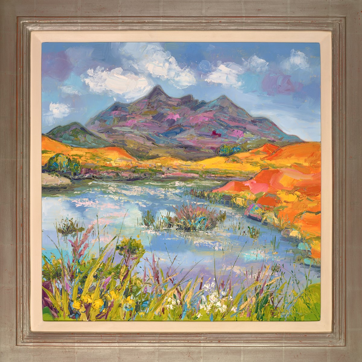 The Cuillins from Sligachan, Skye