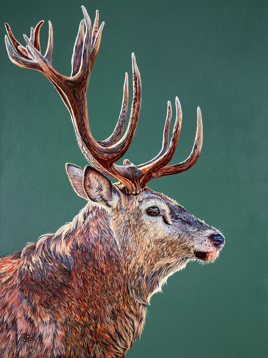 Stag