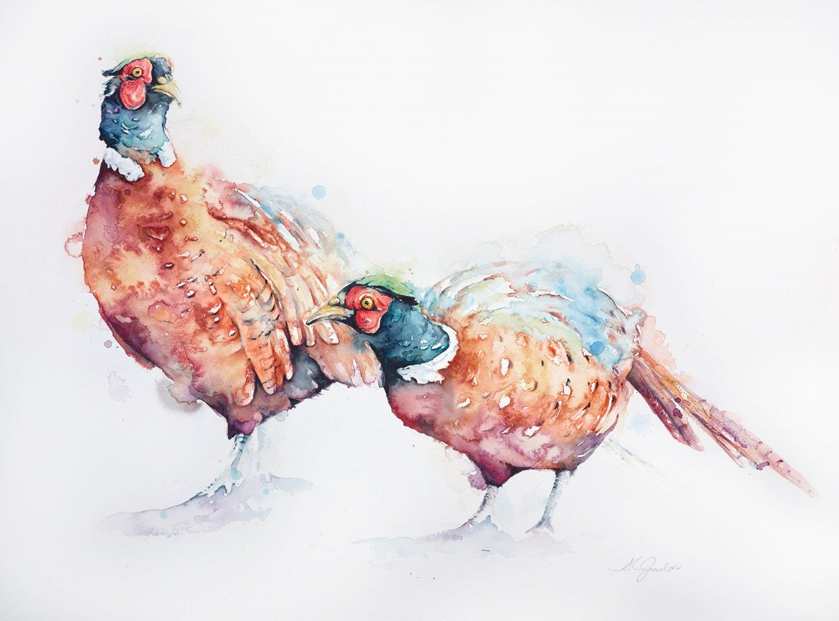 Colourful Brothers