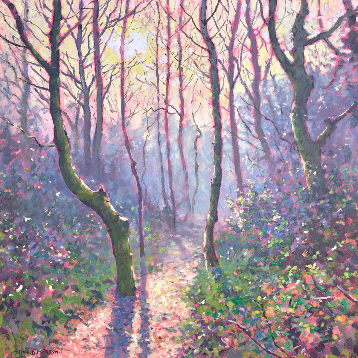 Winter Wood (first light)