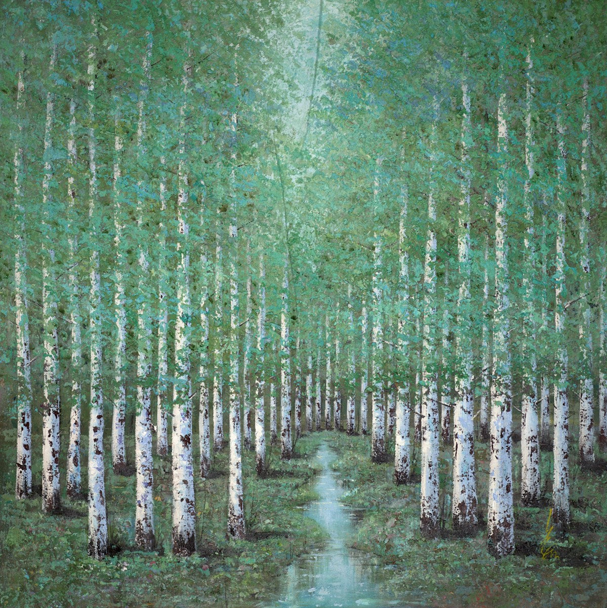 Tall Tree Forest