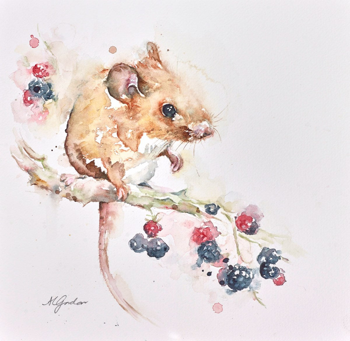 Nature's Bounty
