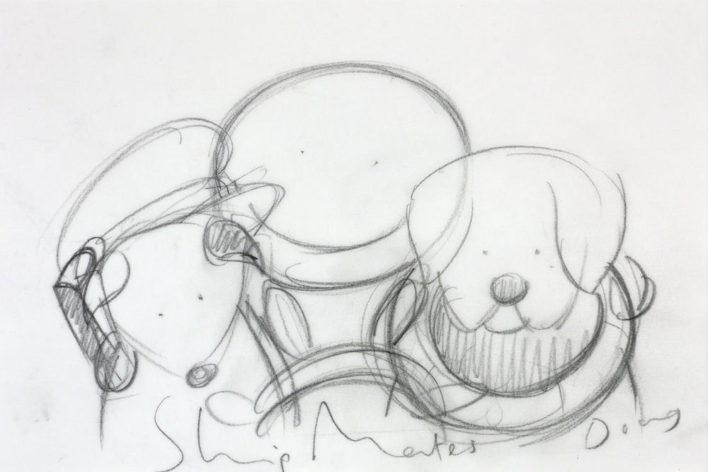 Shipmates (Study IV)