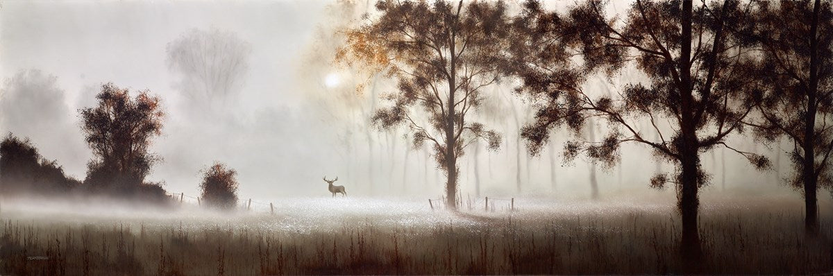 At the Edge of the Woods