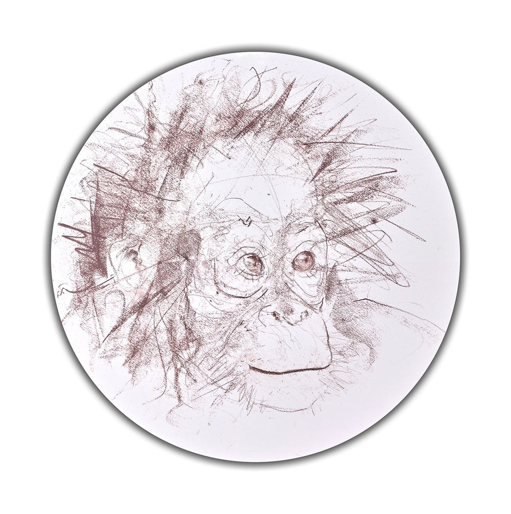 Baby Orangutan Study I