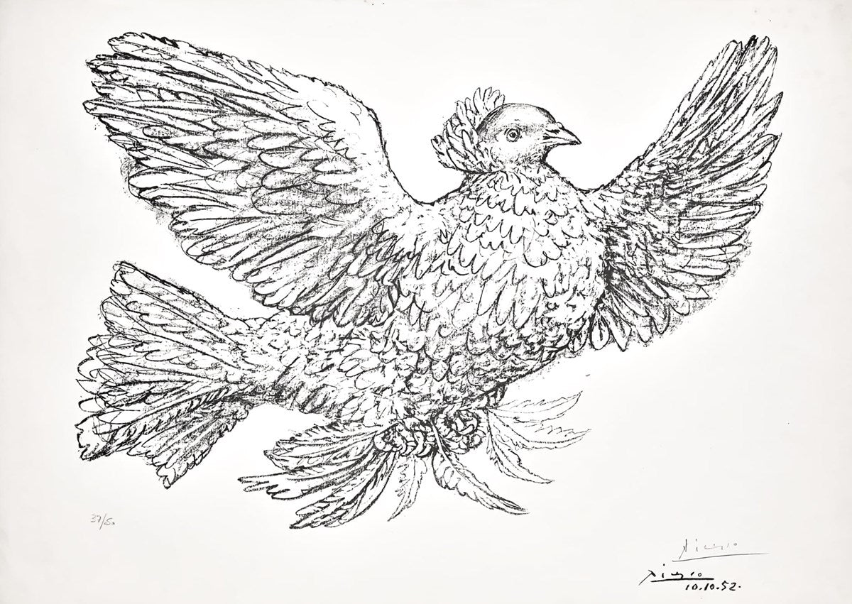 Colombe Volant (Flying Dove)