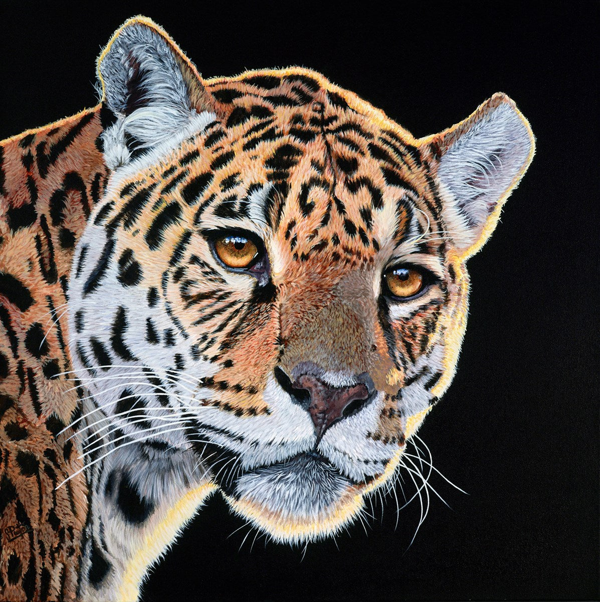 Jungle Hunter