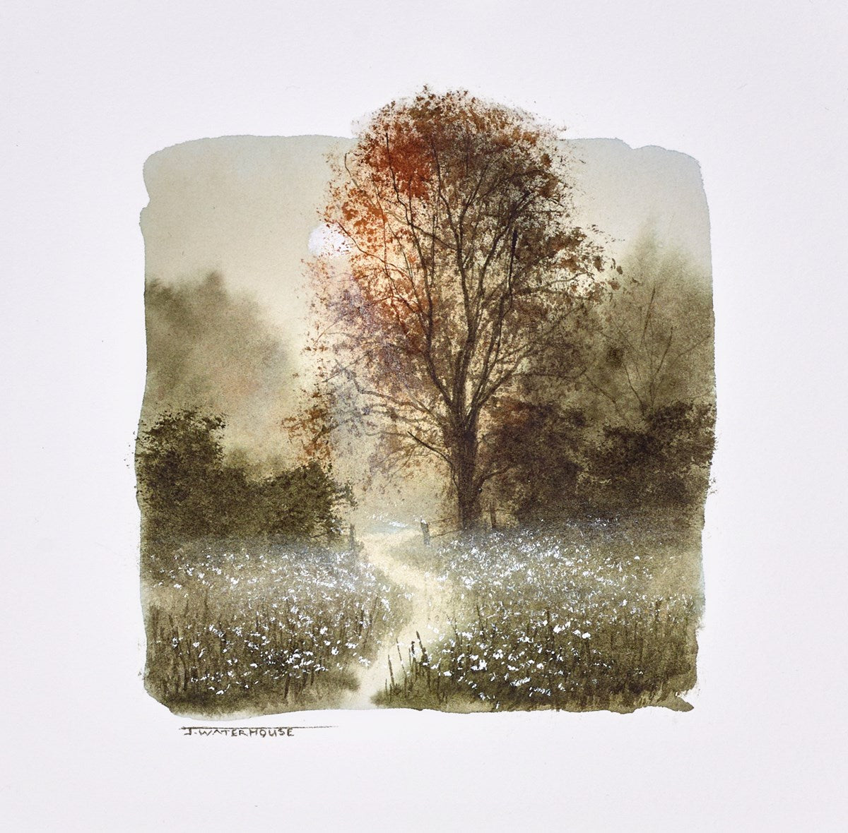 Enchanted (study)