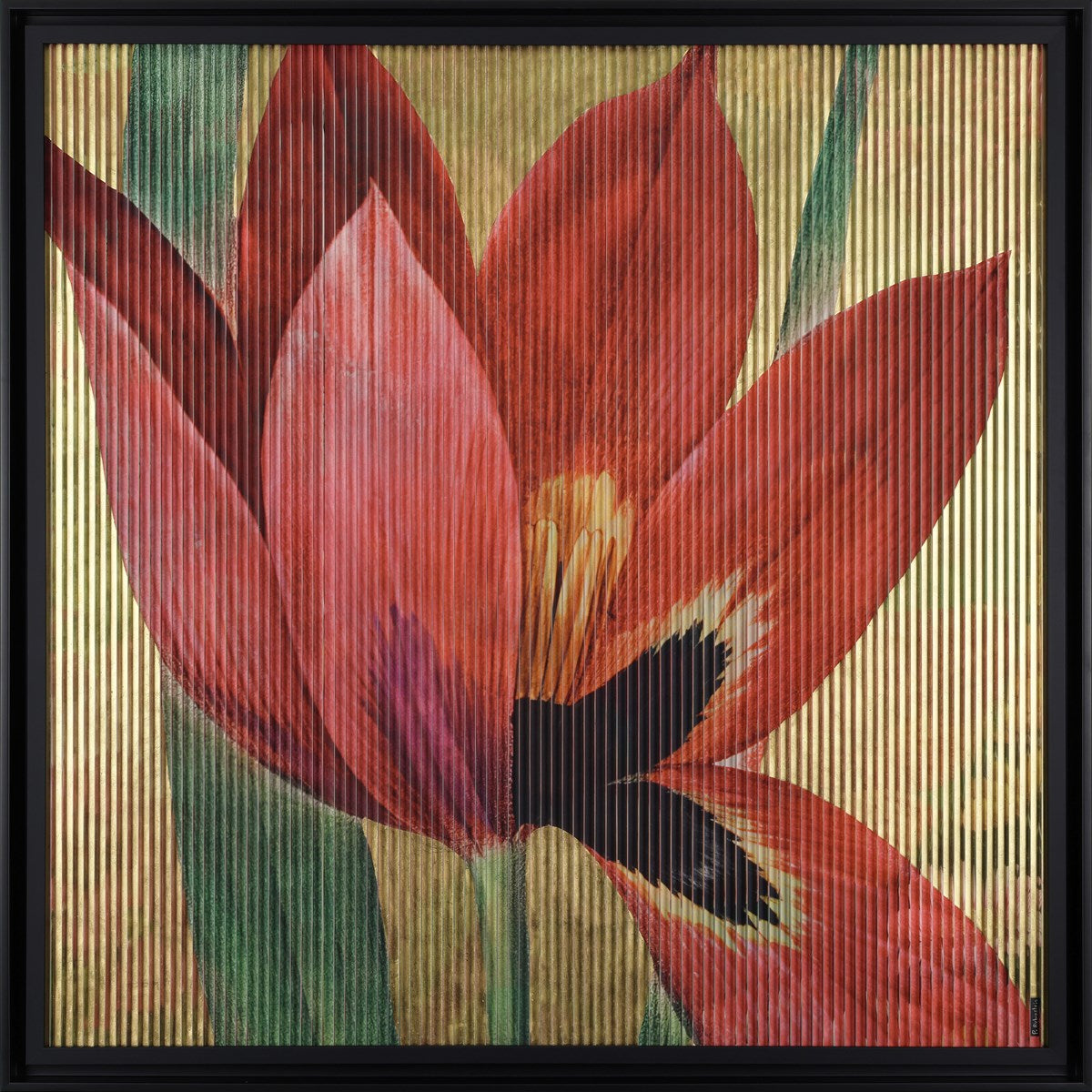 In Bloom (Framed)