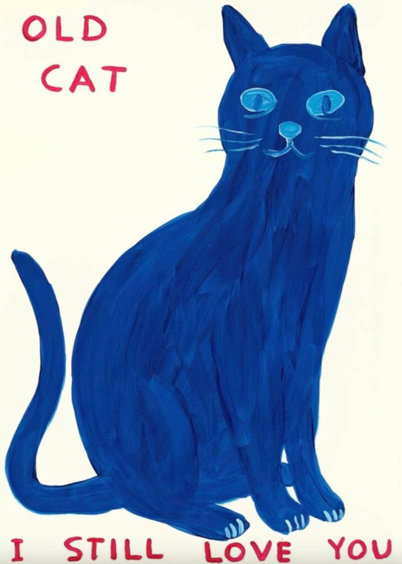 Old Cat