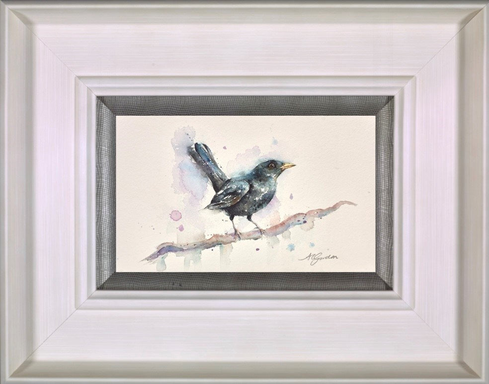 Male Blackbird (Framed)