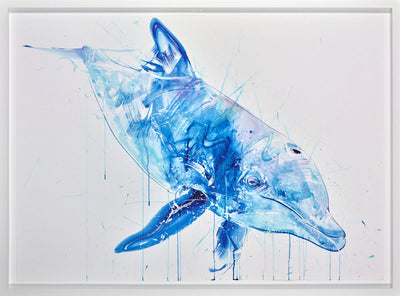 Dolphin IV