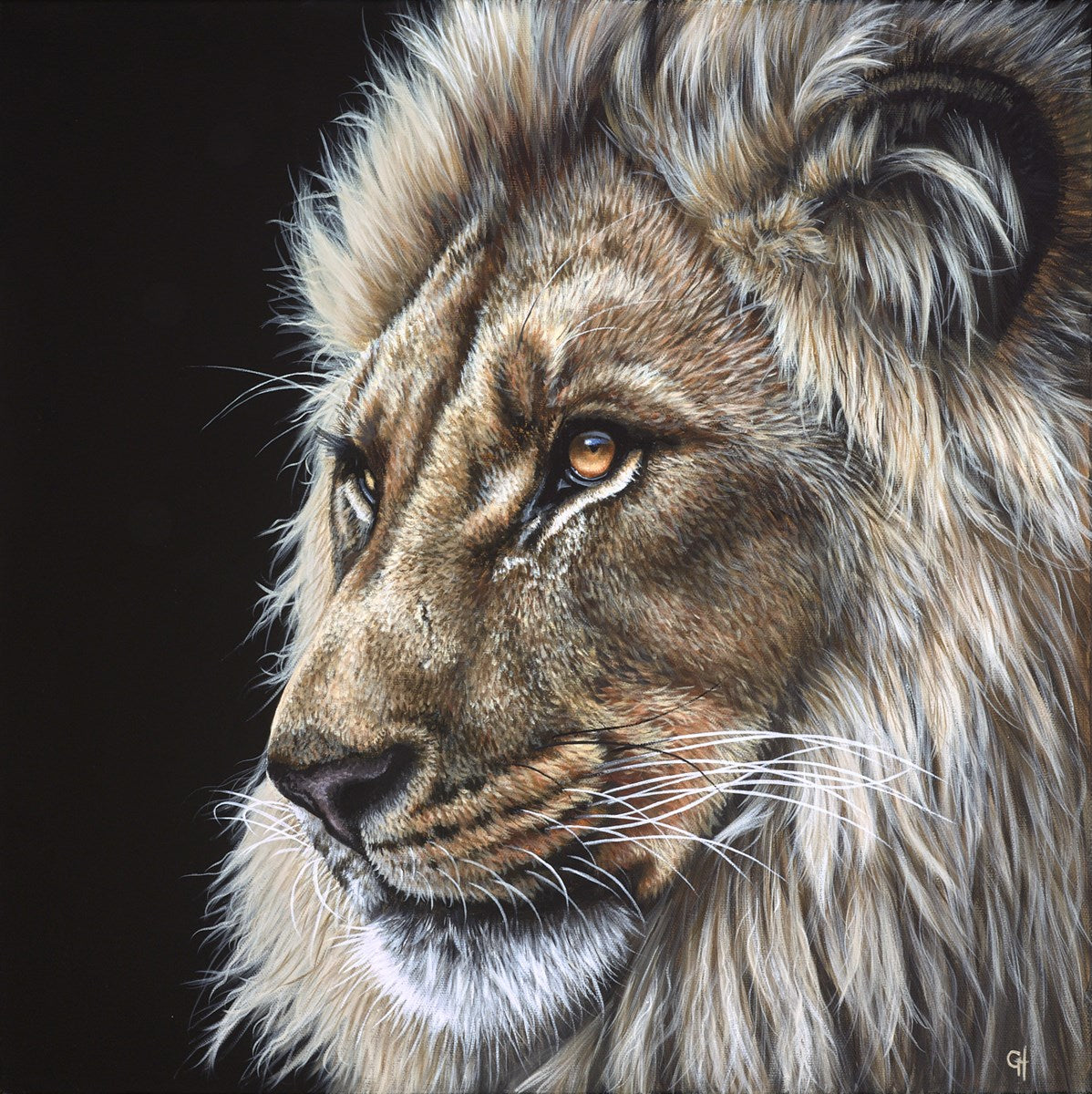 King of the Jungle IV