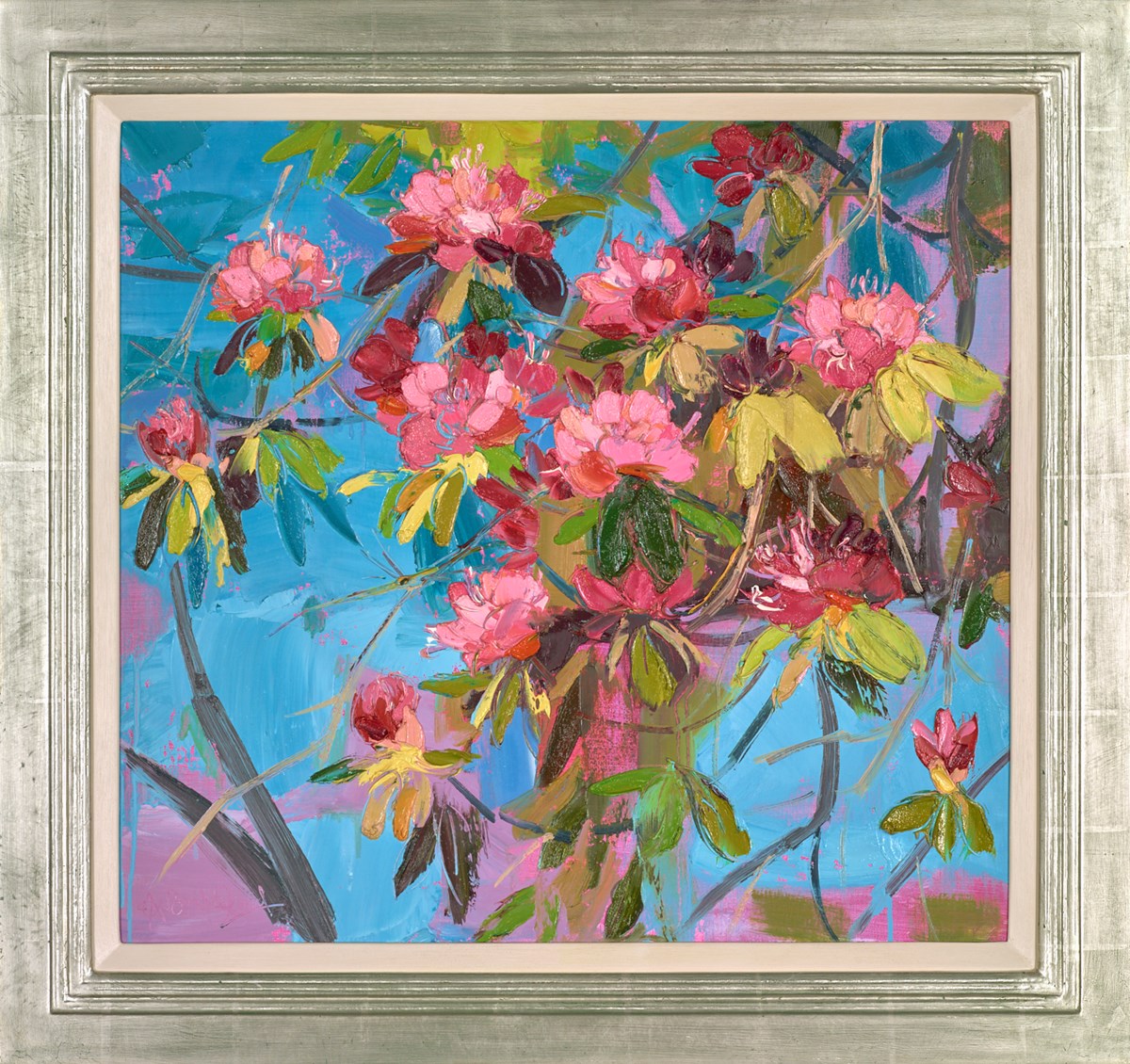 Blue Summer Sky with Pink Rhododendrons