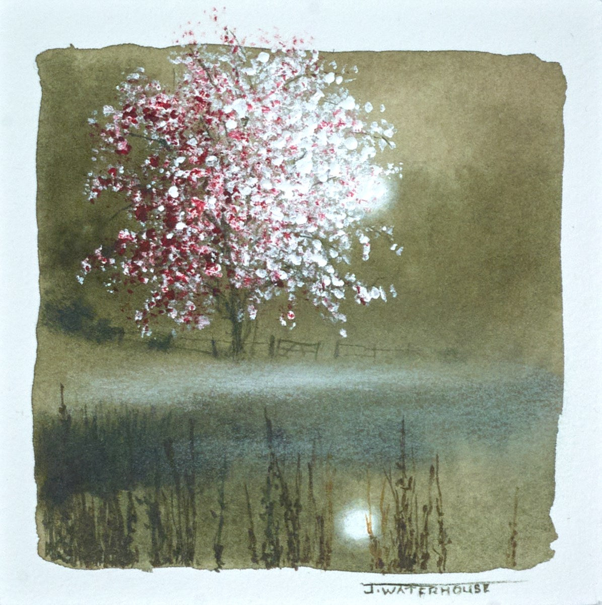 The fairy tree (study)