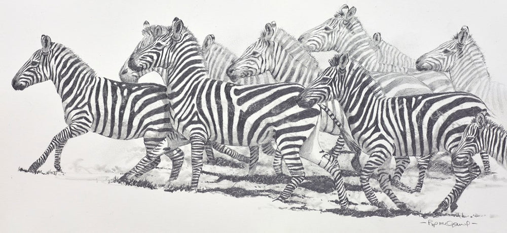 Stripes