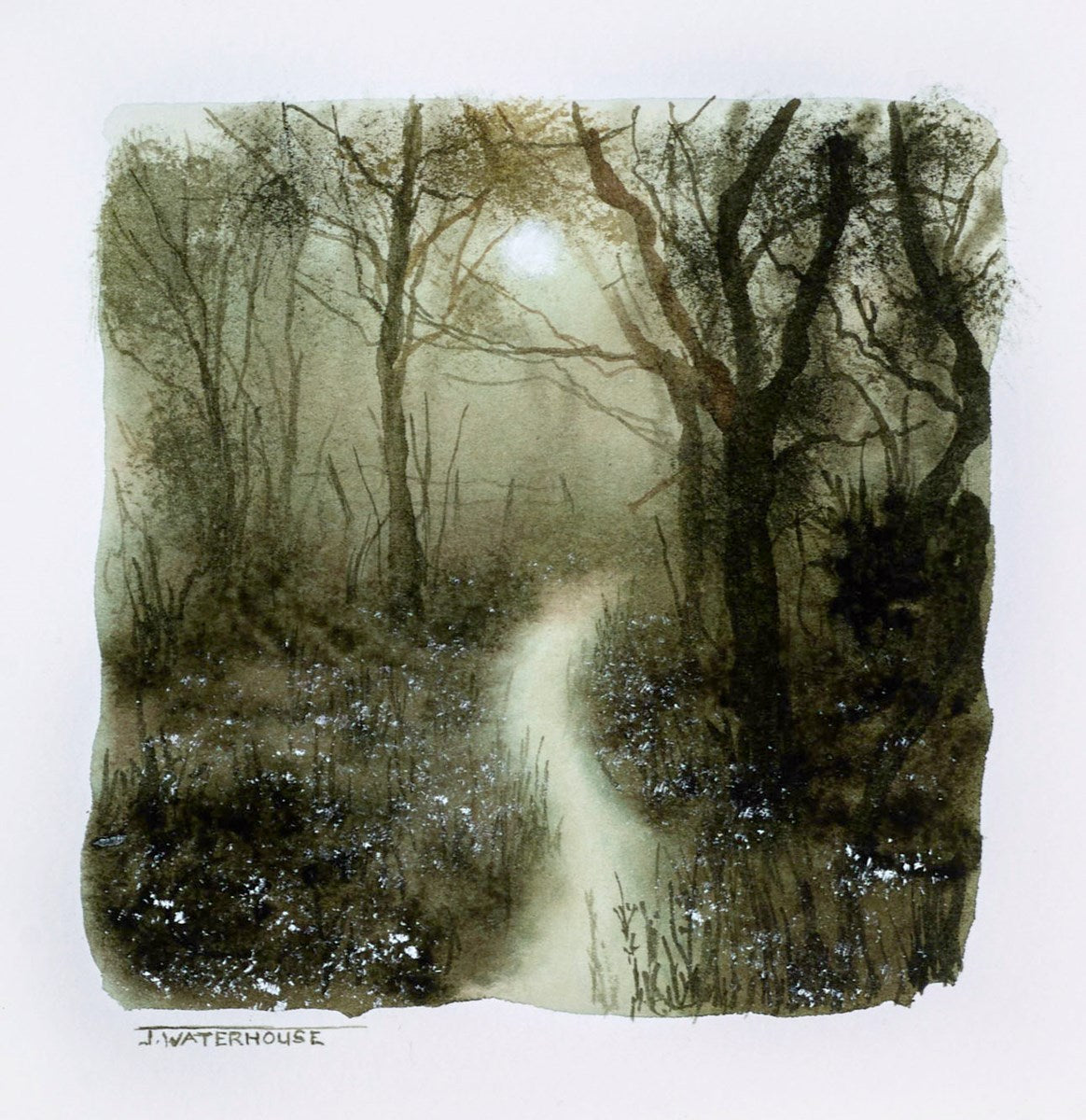 Enchanted Path(study)
