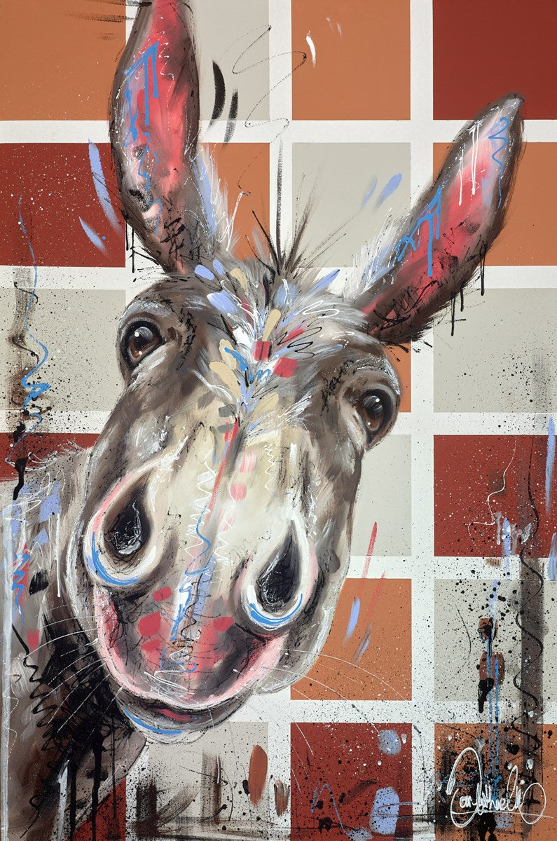 Nosey IV